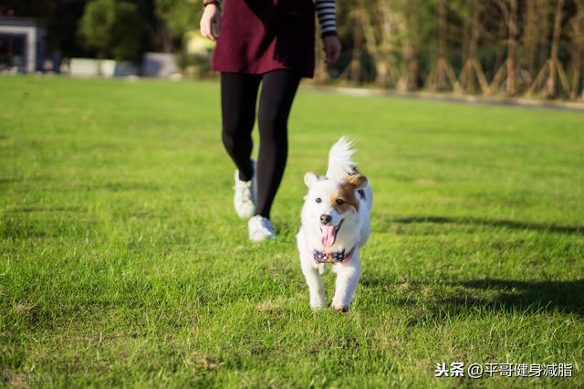 最有效的减肥方法有哪些<strong>减肥方法</strong>？
