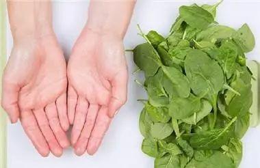 除了挨饿<strong>减肥方法</strong>，都有哪些主要的减肥方法？效果如何？