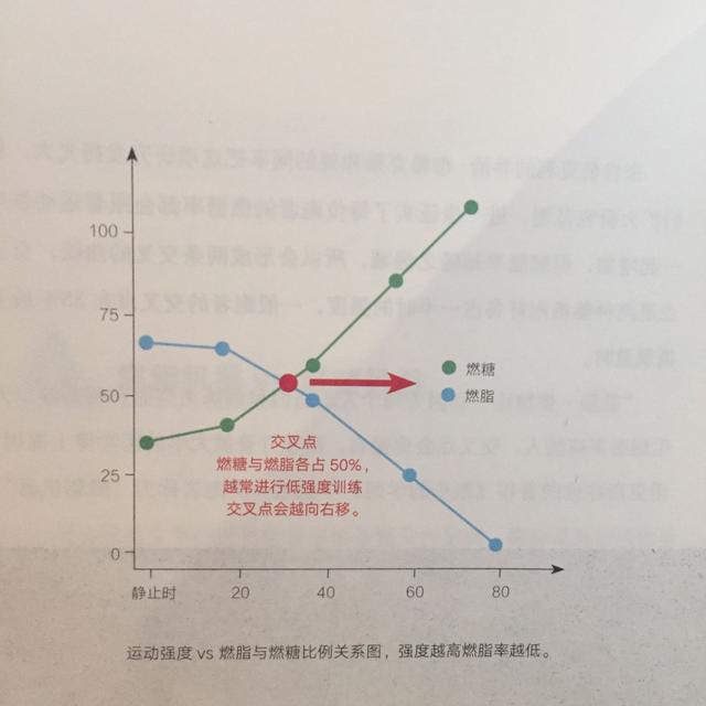 怎样跑步最减肥<strong>跑步减肥</strong>？