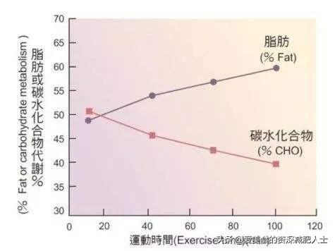 一天跳绳多久能有效燃脂呢<strong>跳绳减肥</strong>，大概坚持多久会有明显瘦身效果？