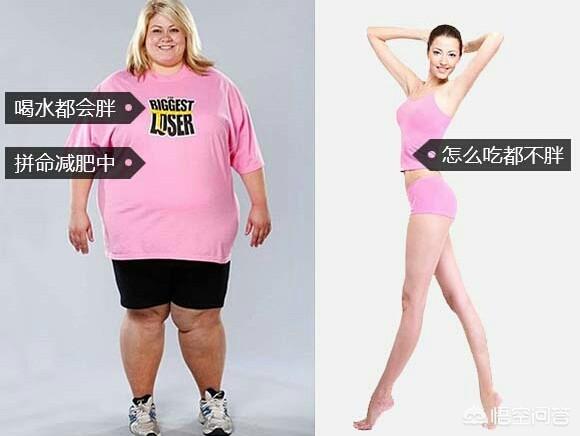 如何减肥呢<strong>减肥</strong>？减肥期间饮食注意什么好呢？