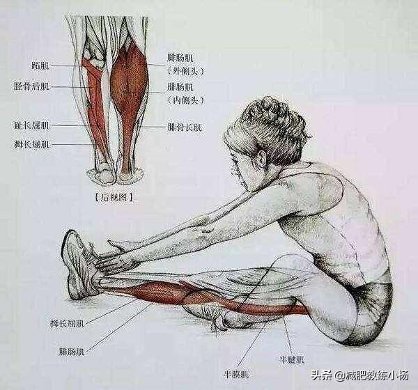 跳绳和跑步哪个更减肥<strong>跳绳减肥</strong>？哪个更瘦腿？