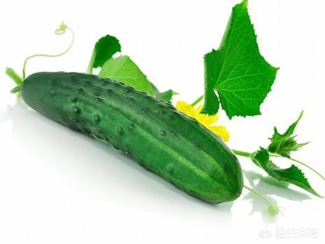 减脂吃什么最快呢<strong>减肥食谱</strong>？