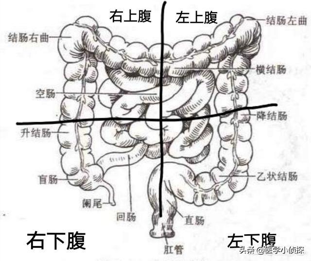 结肠炎该吃什么调理才好<strong>肠道</strong>？