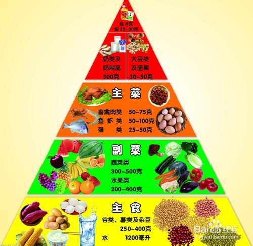 吃什么可以快速减肥呀