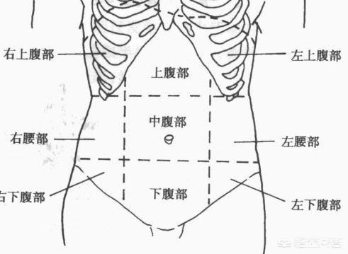 腹部疼痛的原因有哪些<strong>肠道</strong>？