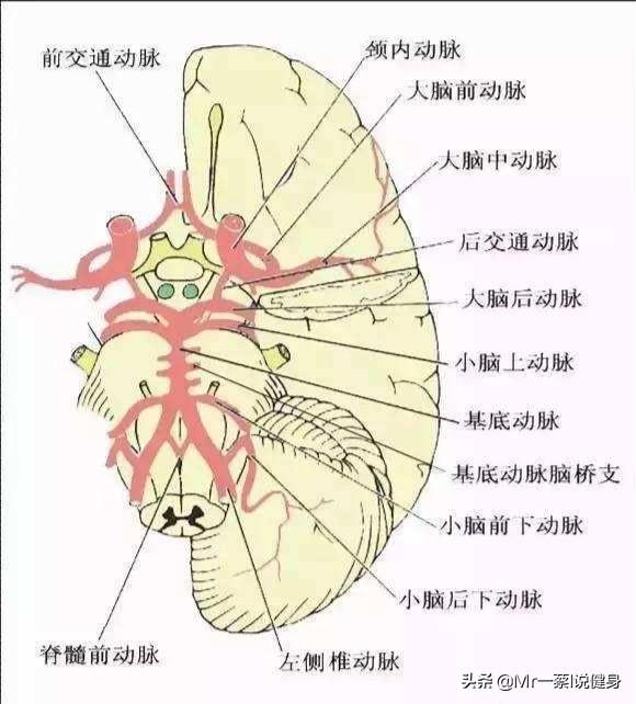 为什么跑步减肥不提倡<strong>跑步减肥</strong>？