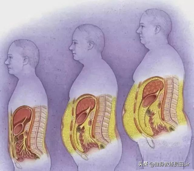 哪些方法可以瘦肚子呢<strong>减肥方法</strong>？