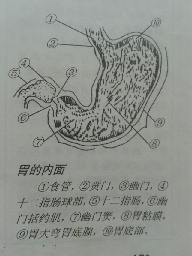 胃病食疗吃什么比较好<strong>胃病</strong>？