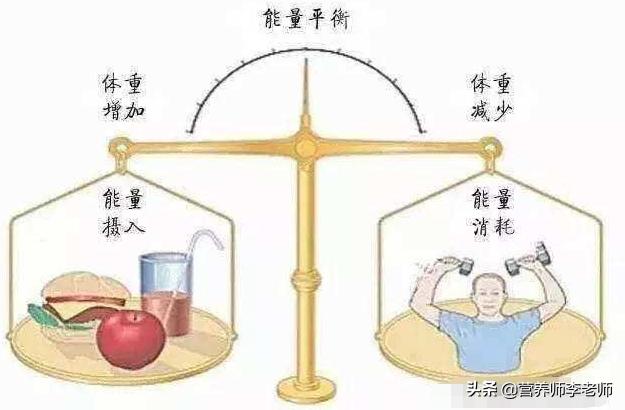 均衡饮食真的能减肥吗<strong>减肥食物</strong>？