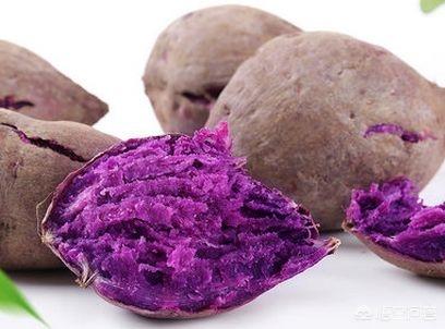 减肥人群晚上可以吃紫薯吗<strong>减肥食物</strong>？晚上吃什么好？