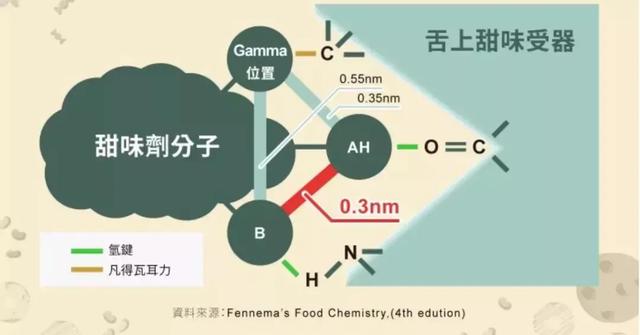 你们是怎么减肥的<strong>减肥</strong>？是如何坚持下来的？