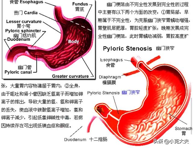 糜烂性胃炎十二指肠炎吃什么药最好<strong>十二指肠</strong>？