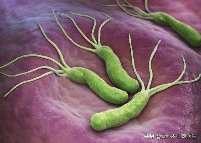 幽门螺杆菌感染会自愈吗？有什么食疗方法可以杀菌养胃吗？