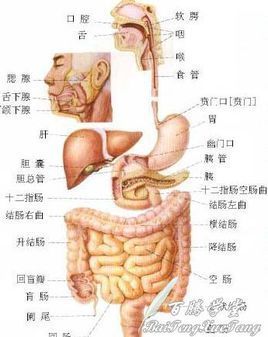 肠道病毒感染的流行情况