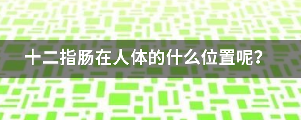 十二指肠在人体的什么位置呢<strong></p>
<p>十二指肠</strong>？