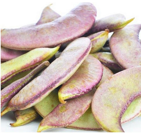 扁豆扁豆视频