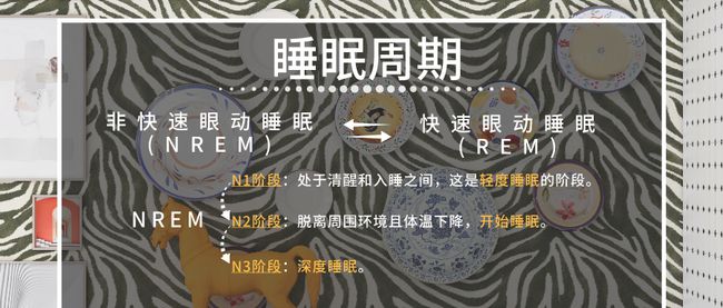 睡眠周期名词解释睡眠的定义名词解释