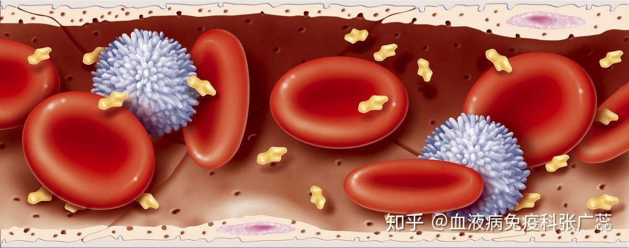 血小板低是什么原因造成中医,血小板低是什么原因