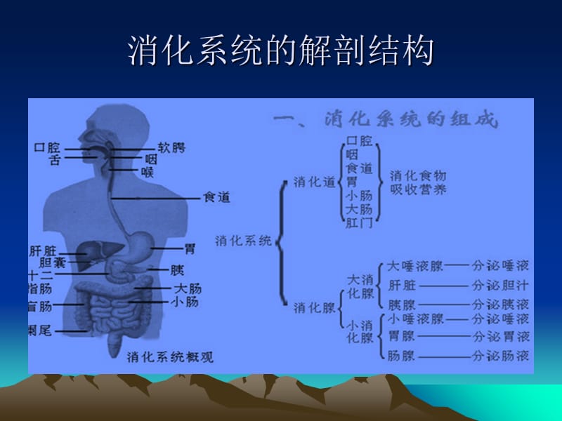 消化道消化道穿孔