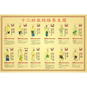 经络养生视频,经络养生视频讲座