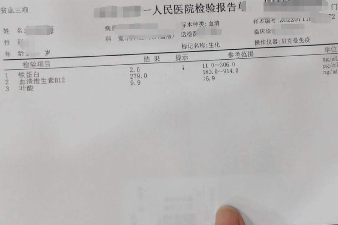 血清铁蛋白血清铁蛋白是检查什么
