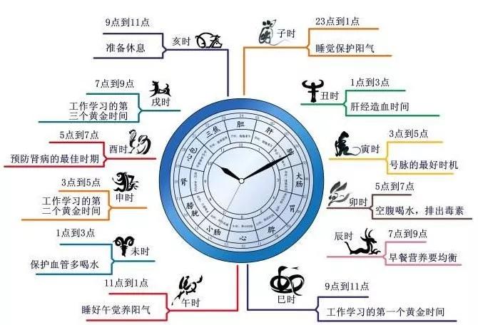 时辰与养生十二时辰养生对照表