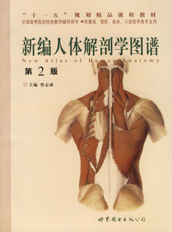 人体解剖学人体解剖学知识点