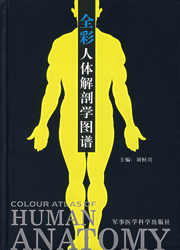 人体解剖学人体解剖学知识点