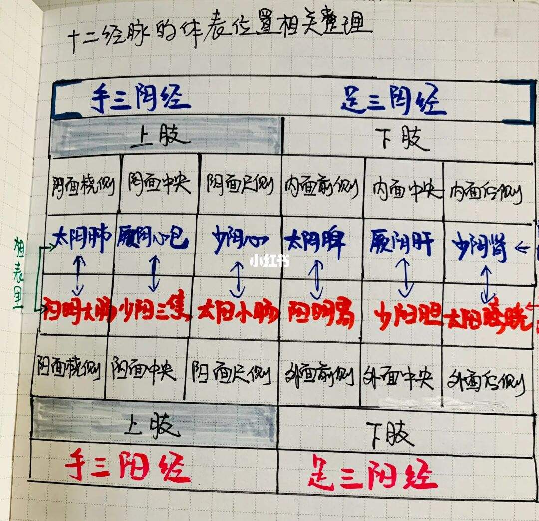 倪海厦针灸90集笔记,倪海厦针灸笔记全部68