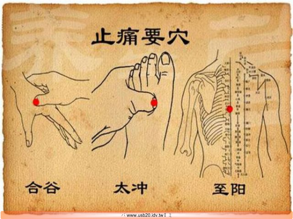 养生堂知足常乐,养生堂知足常乐1一10集杨弈讲