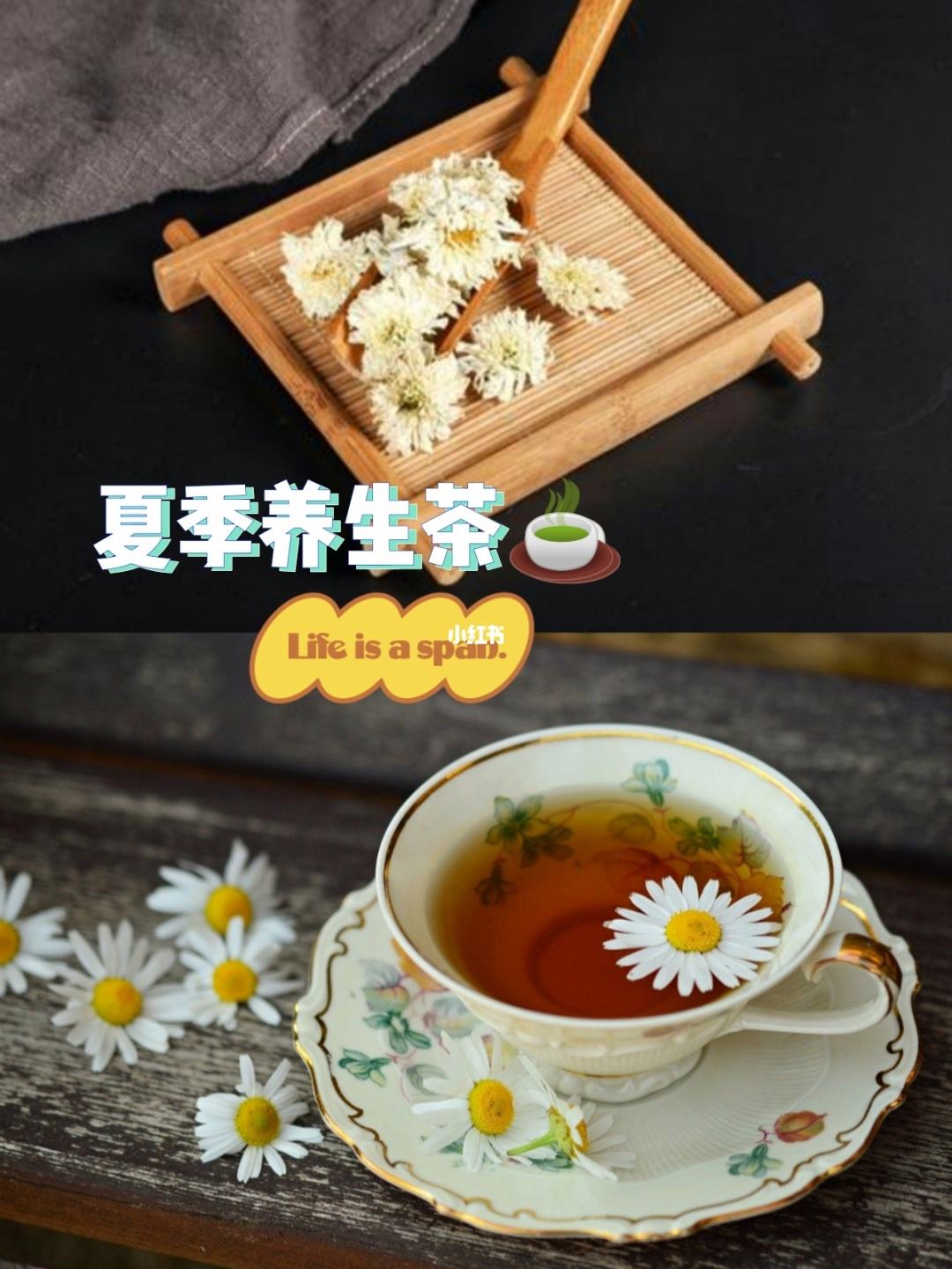 健康养生茶什么是养生茶