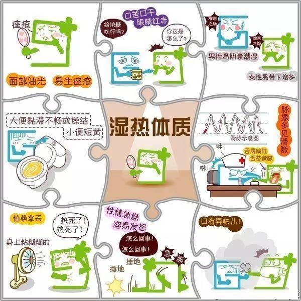 九种体质养生中医九种体质养生