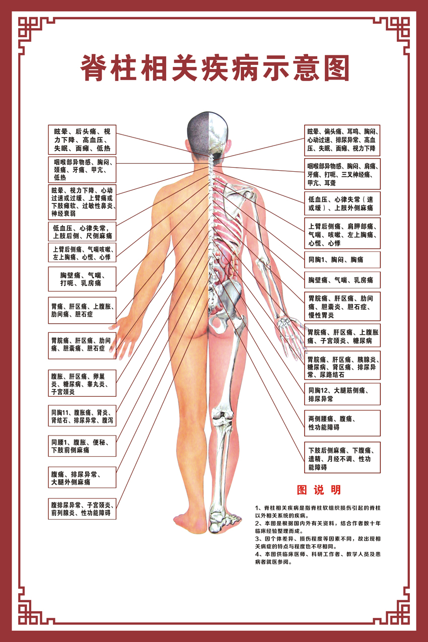 关于人体结构示意图的信息