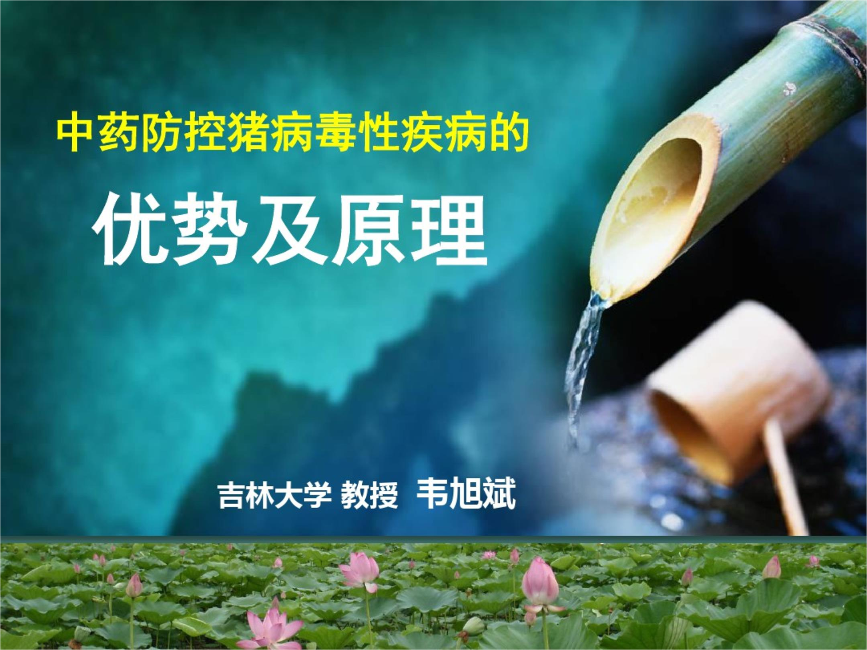 猪中药保健猪中药保健配比表