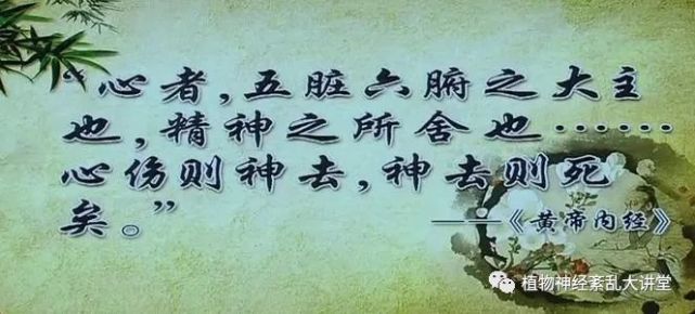 多梦属于什么症状多梦常见于