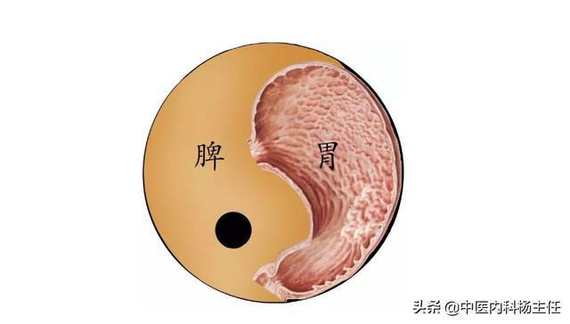 脾胃湿热吃什么中成药脾胃湿热