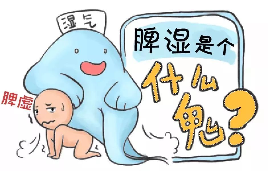 脾虚,脾虚湿气重肝火旺气血不足怎么调理