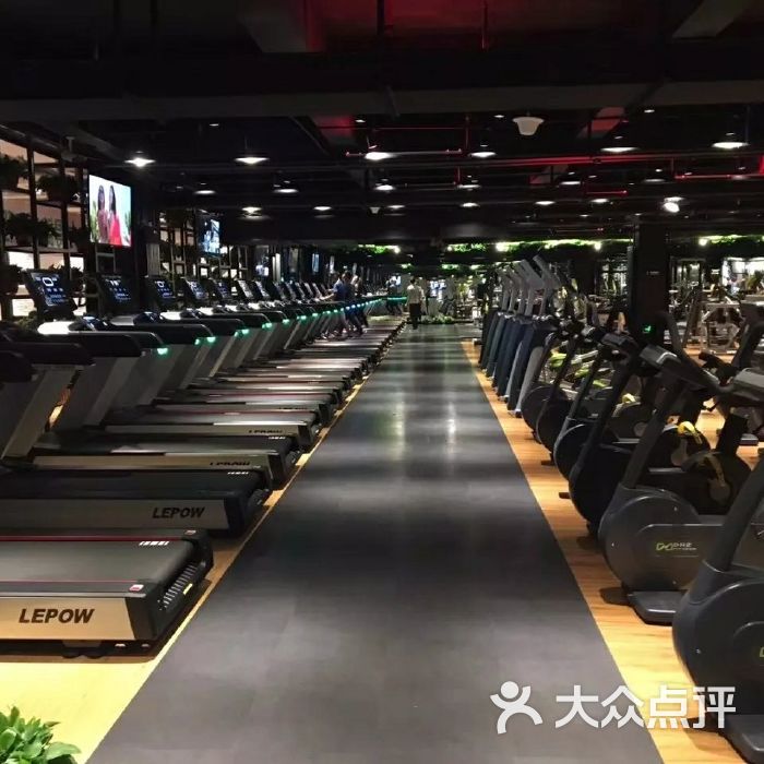 石家庄宝力健身,石家庄宝力健身老板