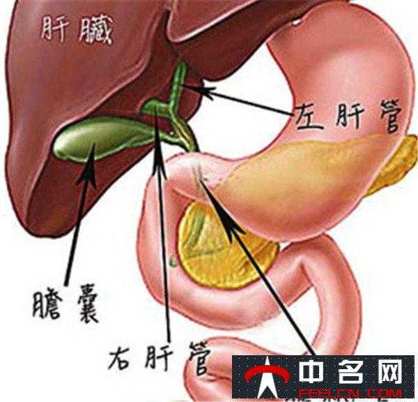 胆囊炎的症状胆囊炎的症状怎么治疗