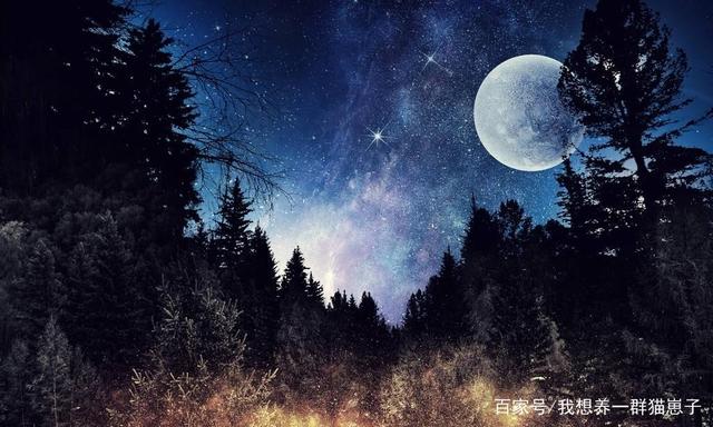 失眠的夜mp3下载,失眠的夜mp3下载百度网盘