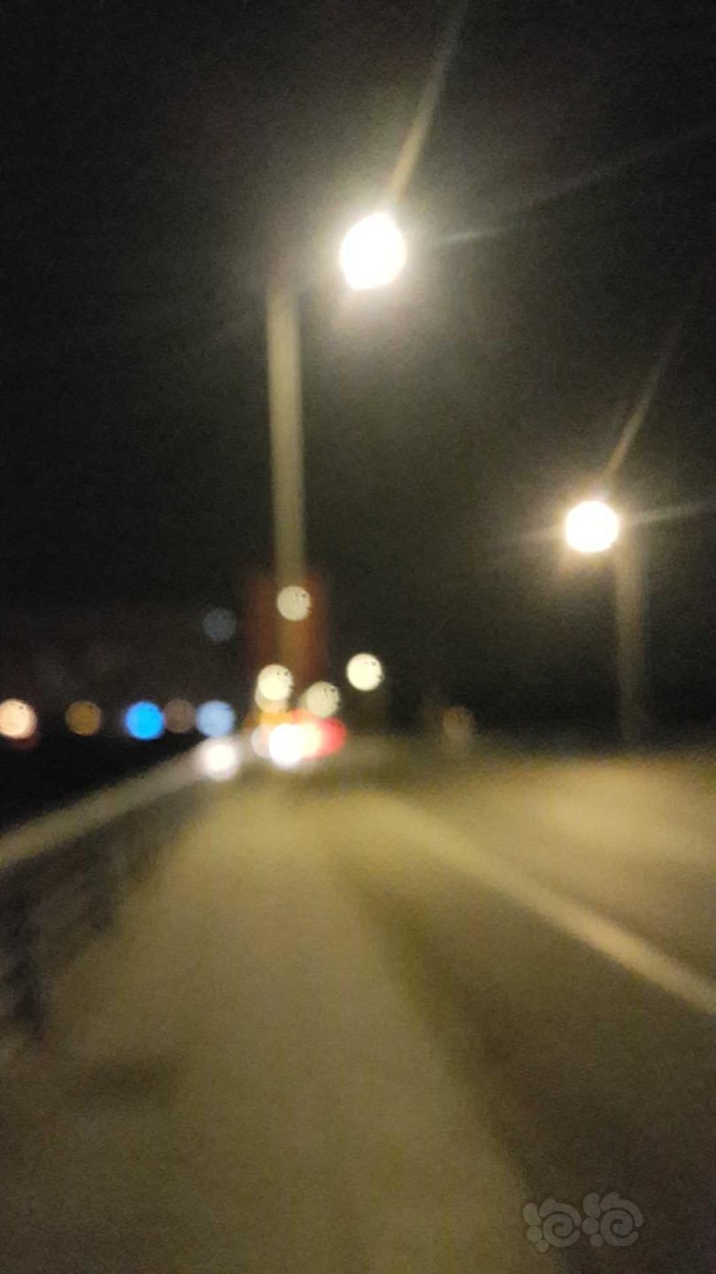 失眠的夜的图片带字,失眠的夜图片带字