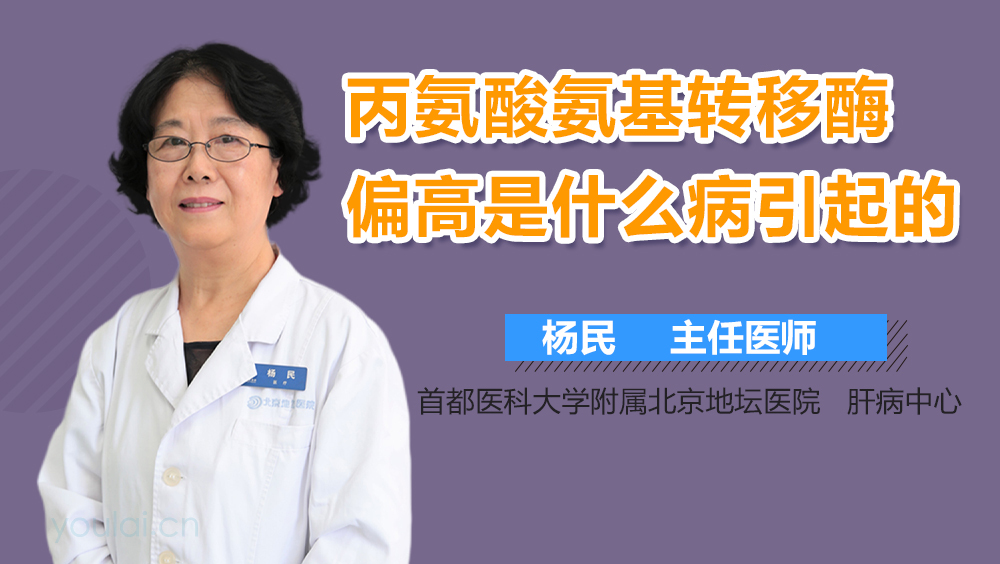 丙氨酸氨基转移酶偏高的原因,新生儿丙氨酸氨基转移酶偏高的原因