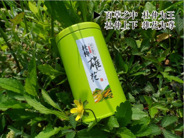杜仲茶的功效与作用,杜仲茶