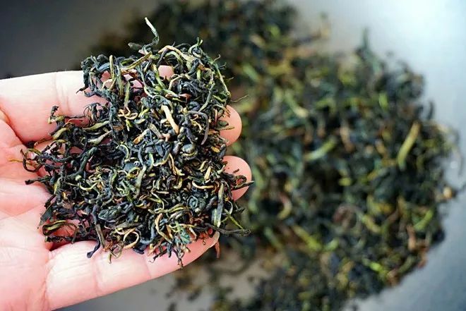 蒲公英茶的功效与作用,蒲公英茶的十大功效与禁忌