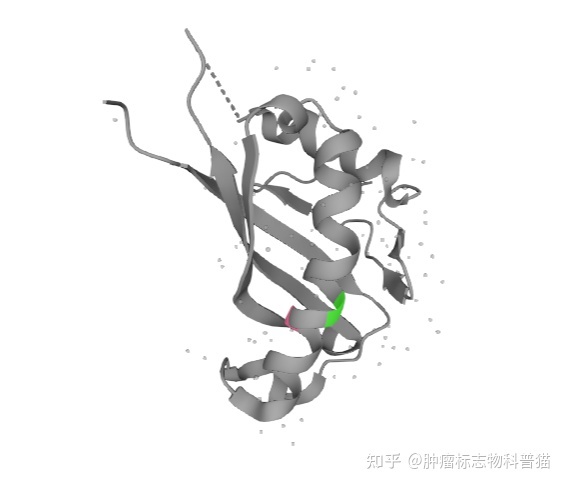 糖类抗原,糖类抗原242是什么肿瘤标志物