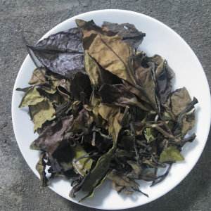粗老茶怎么冲泡粗老茶