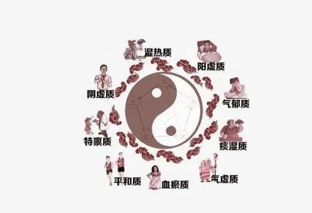 体质养生体质养生的意义和作用