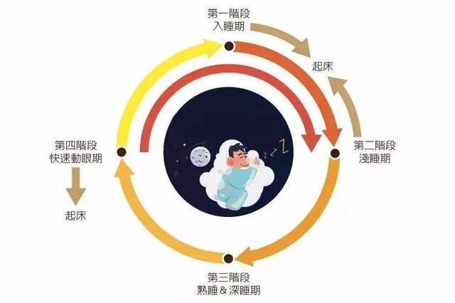 深度睡眠时间深度睡眠时间多少正常