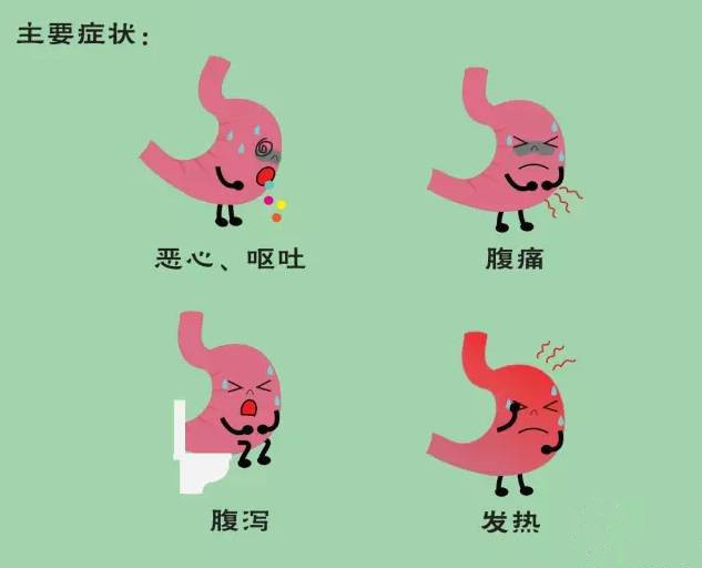 急性肠炎,急性肠炎怎么引起的?